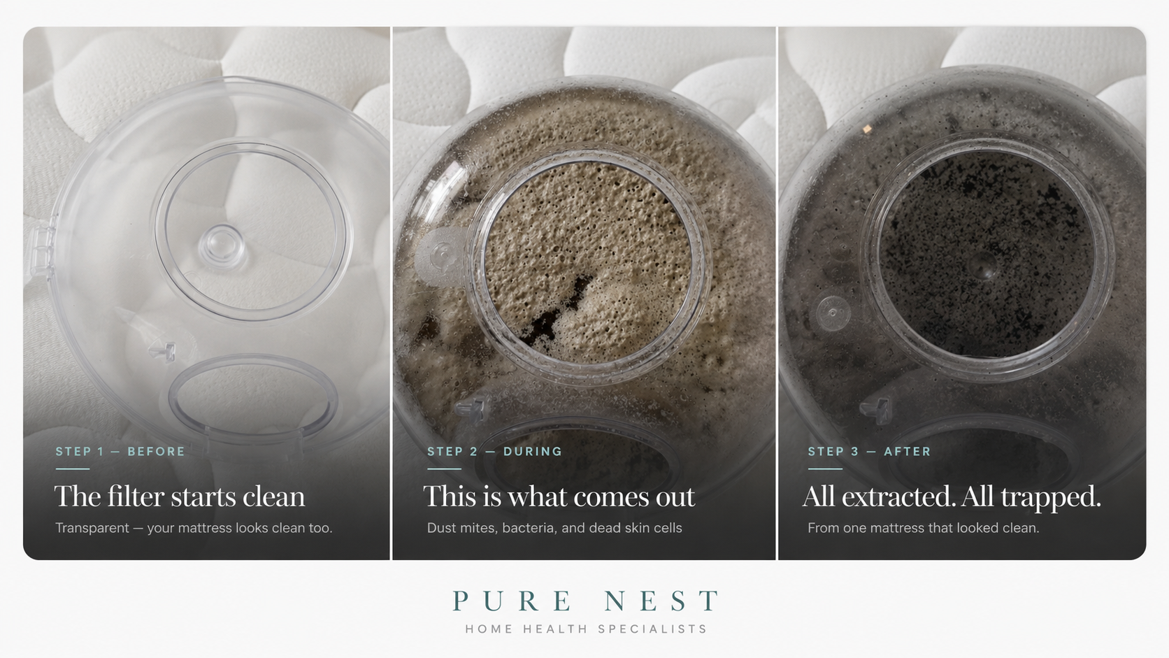 Pure Nest visual proof showing what is extracted during the sanitization process